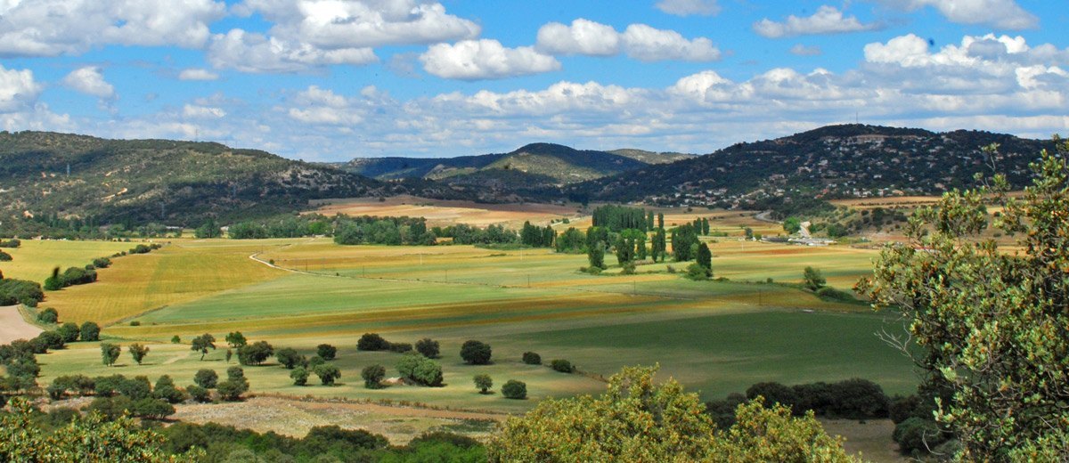 Vegas: Bosques de ribera y regadíos