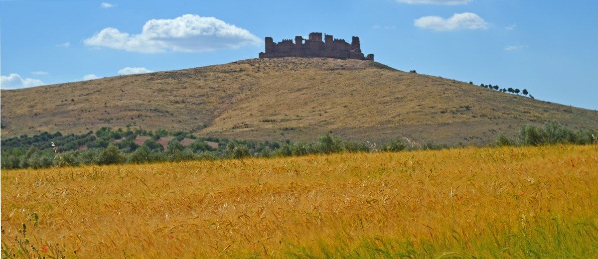 Castillo de Almonacid de Toledo