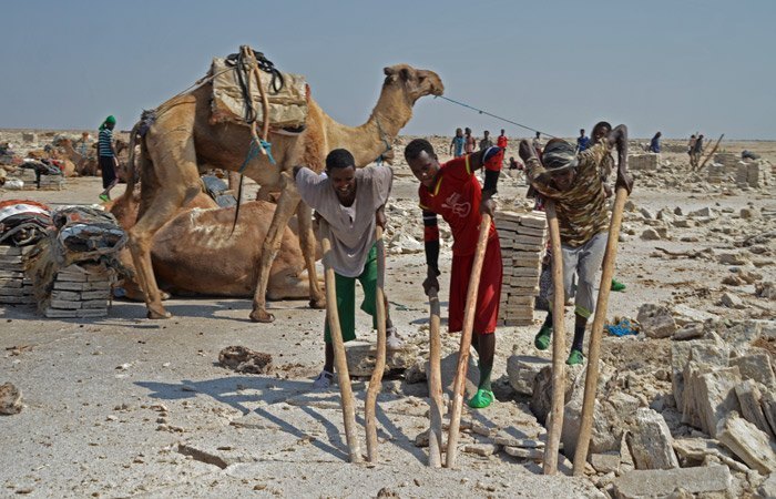 Mineros de Sal trabajando